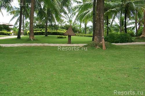 Alegre Beach Resort 10
